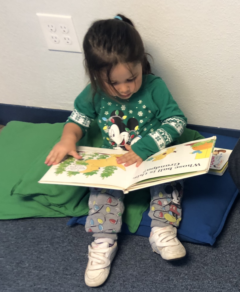 Little Reader