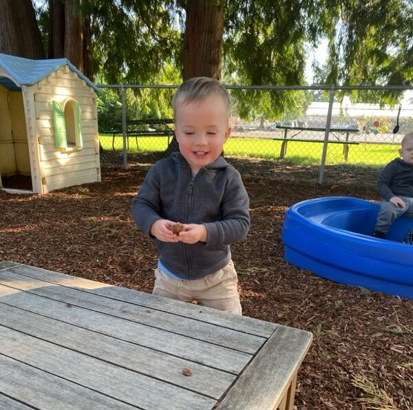 Wobber 5